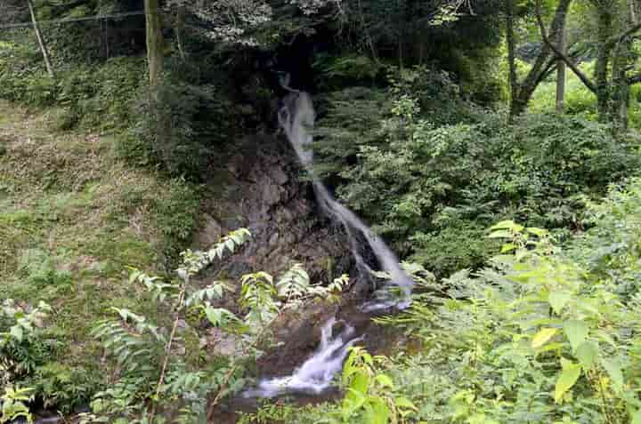 ���x�̉���E�S�i